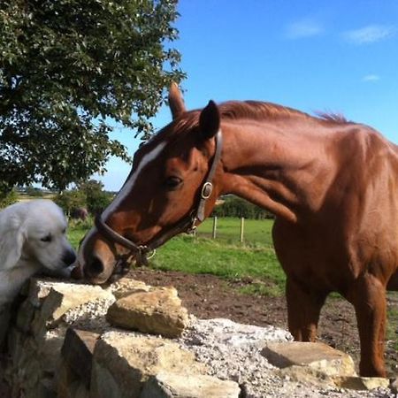הוילה וויטלי ביי Holywell Grange Farm מראה חיצוני תמונה