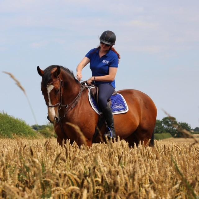 הוילה וויטלי ביי Holywell Grange Farm מראה חיצוני תמונה