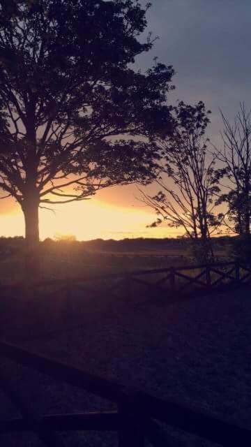 הוילה וויטלי ביי Holywell Grange Farm מראה חיצוני תמונה
