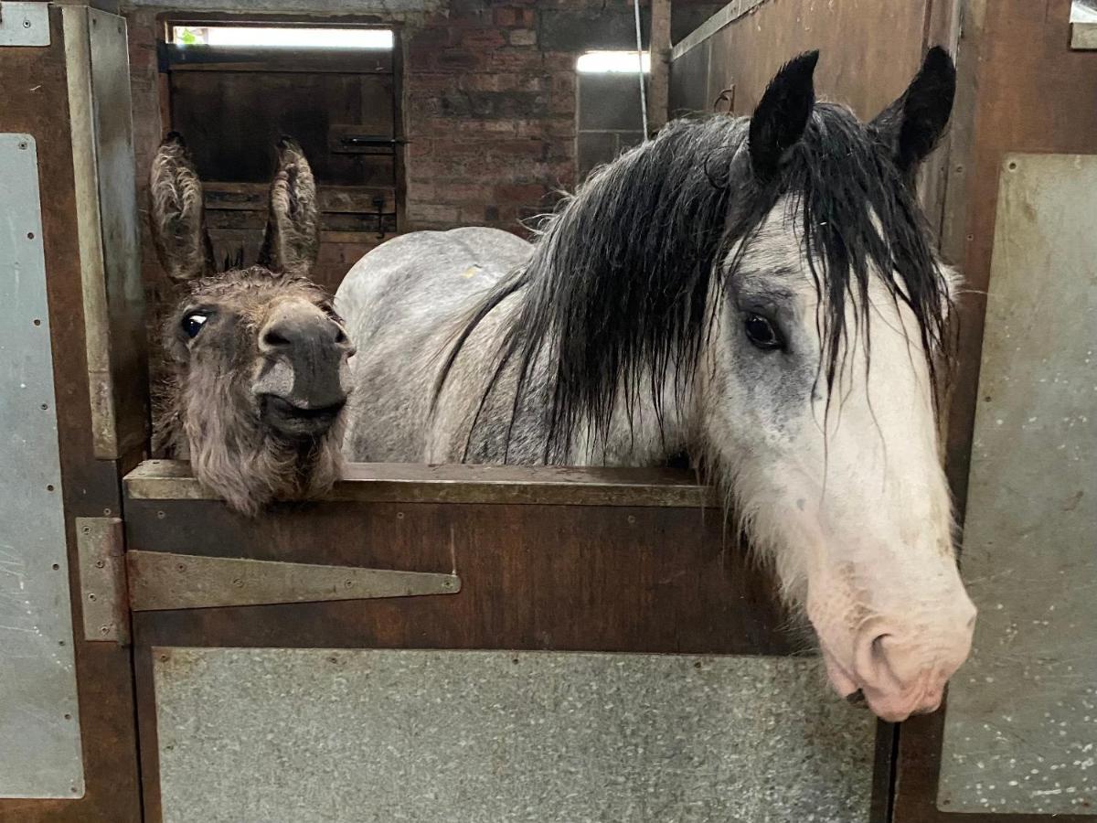 הוילה וויטלי ביי Holywell Grange Farm מראה חיצוני תמונה